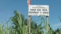 Papan bertulis nomor sertifikat hak milik atas nama Mihad dipasang di atas tanah di Desa Setrojenar, Kecamatan Buluspesantren, Kebumen, Rabu (24/3/2021). (Foto: Liputan6.com/Rudal Afgani Dirgantara)