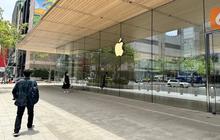 Siap-siap Bulan Ini Fitur Pertama Apple Intelligence Bakal Diperkenalkan