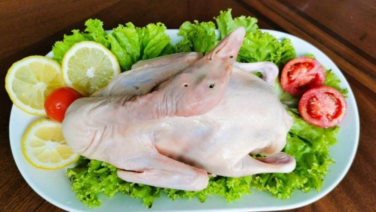 Manfaat Daging Bebek