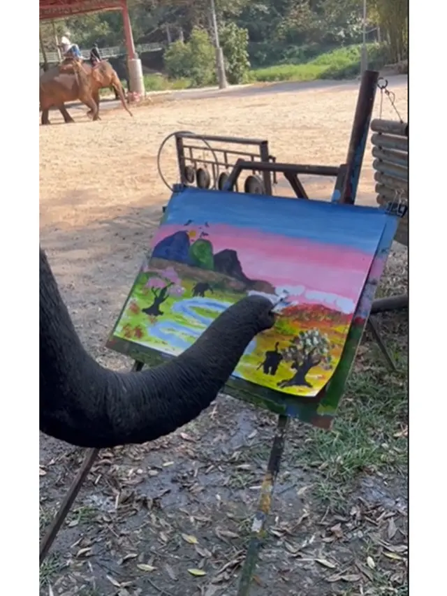 Viral Momen Gajah Bisa Melukis Pakai Belalai Ini Bikin Takjub, Hasilnya Indah