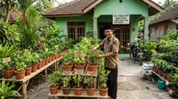 4 Ide Usaha Pohon Buah Mini untuk Dijual, Raup Omzet Jutaan dari Lahan Terbatas