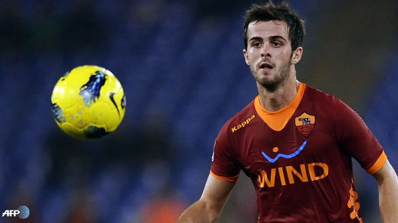 miralem-130710c.jpg