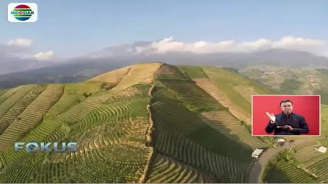 Pesona Lereng Gunung Ceremai dari Kemiringan 40 Derajat 