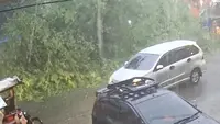 Pohon Raksasa di Taman Balita Tumbang, Satu Korban Terluka