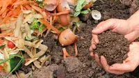 Cara Membuat Pupuk Organik dari Sampah Rumah Tangga (Sumber: iStockphoto)