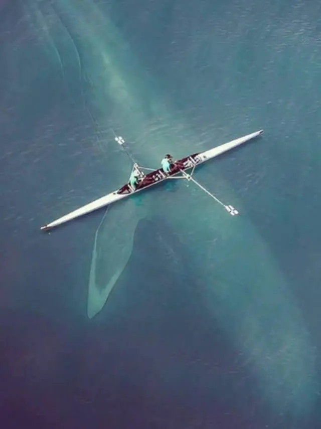 Phobia Berlebihan Melihat Laut? Mungkin Anda Thalassophobia
