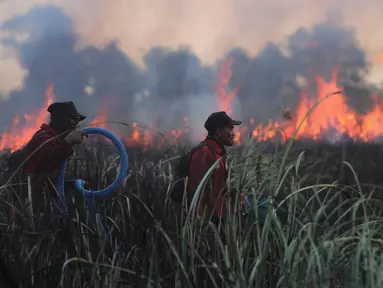 Petugas pemadam kebakaran membawa peralatan mereka saat berupaya memadamkan kebakaran lahan gambut di Palembang, Sumatra Selatan, Indonesia, Selasa, 11 Agustus 2026. (Foto AP/Muhammad Hatta)
