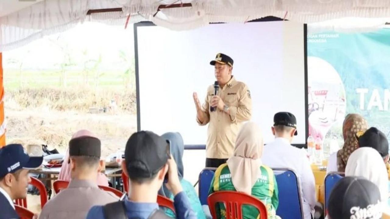 Barito Kuala Capai Target 87 Persen Lahan LP2B, Jamin Ketahanan Pangan Daerah