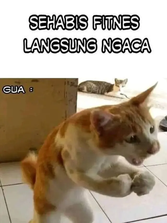 6 Meme Kocak Orang Rutin Jalani Gym Ini Bikin Tepuk Jidat