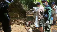 Sejumlah satwa liar yang ada di dalam kawasan Taman Nasional Bogani Nani Wartabone (TNBNW) di Provinsi Gorontalo, ditemukan mati. (Liputan6.com/ Dok Balai TNBNW)