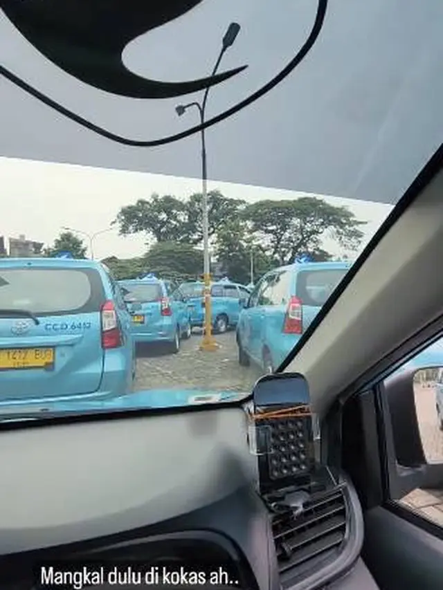 Viral CEO Blue Bird saat Narik Taksi, 7 Potretnya Ini Curi Perhatian