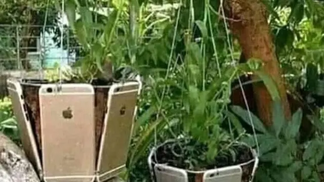 6 Cara Unik Menyelasaikan Masalah Ini Bikin Gagal Paham