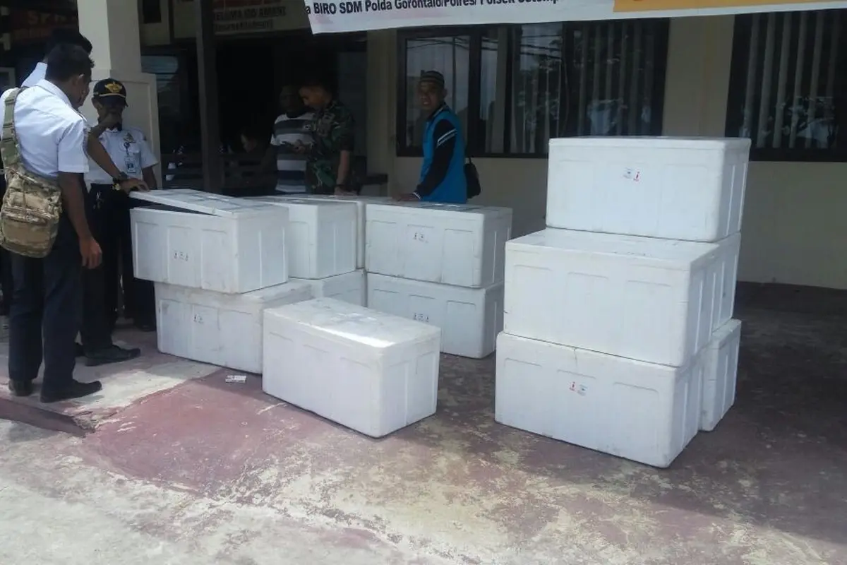 Ribuan Ekor Tikus Beku Diselundupkan Lewat Pelabuhan Gorontalo
