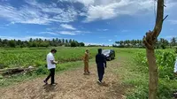Rombongan Mentan bersama Wali Kota Manado saat meninjau salah satu lokasi pertanian.