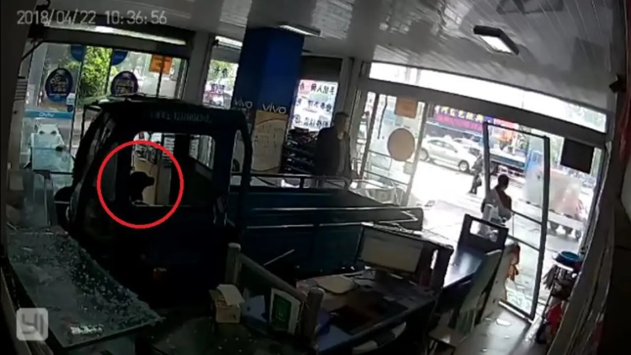 Injak Pedal Gas, Anjing Tabrakkan Truk ke Toko Ponsel