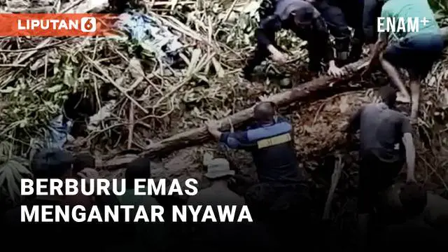 Sebanyak 9 pemburu emas tertimbun tanah, 3 orang selamat dan 6 orang lainnya tewas usai tambang ilegal di Sinabar, Maluku longsor. Curah hujan yang tinggi diduga menjadi penyebab longsornya tambang tersebut.