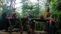 Ada empat hingga enam orangutan yang akan ikut sarapan bersama Anda hingga pukul 10.00 di tempat yang telah disediakan khusus. (Liputan6.com/ Vincentia Dianawanti)