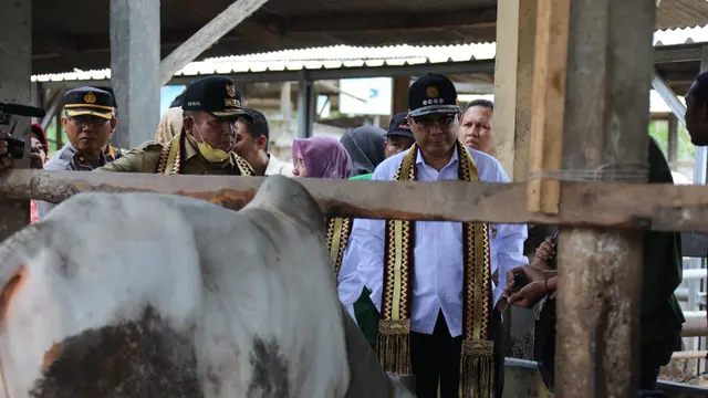 Lampung Selatan jadi Contoh Koperasi dan Produksi Ternak Berkualitas di Indonesia