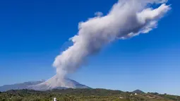 Abu vulkanik terlihat keluar dari Gunung Colima di San Antonio, Meksiko (22/1). Gunung dengan tinggi 3.839 mdpl memuntahkan abu vulkanik antara 200-800 kilometer ke arah selatan. (AFP Photp/Hector Guerrero)