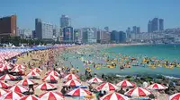 Kapan Musim Panas Korea 2024? Kesempatan Terbaik Buat Melancong dan Bisa Persiapan dari Sekarang