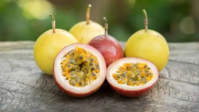 15 Manfaat Buah Markisa Kuning Bagi Kesehatan, Baik untuk Diet