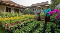 9 Ide Usaha Budidaya Sayur 20 Hari Panen Untuk Pensiunan: Tetap Produktif di Usia Senja