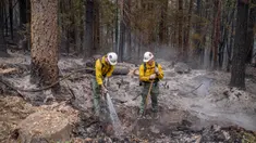 Tim pemadam kebakaran bekerja di titik-titik api Cedar Creek, sebelah timur Oakridge, Oregon, Senin (12/9/2022). Selain memaksa penduduk untuk melarikan diri, api yang berkobar di luar kendali juga mengancam kota-kota serta ribuan rumah. (Photo by Dan Morrison/AFP)