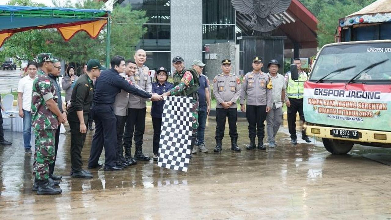 Ekspor Jagung Bengkayang ke Malaysia Capai 100 Ton, Perkuat Ketahanan Pangan Nasional