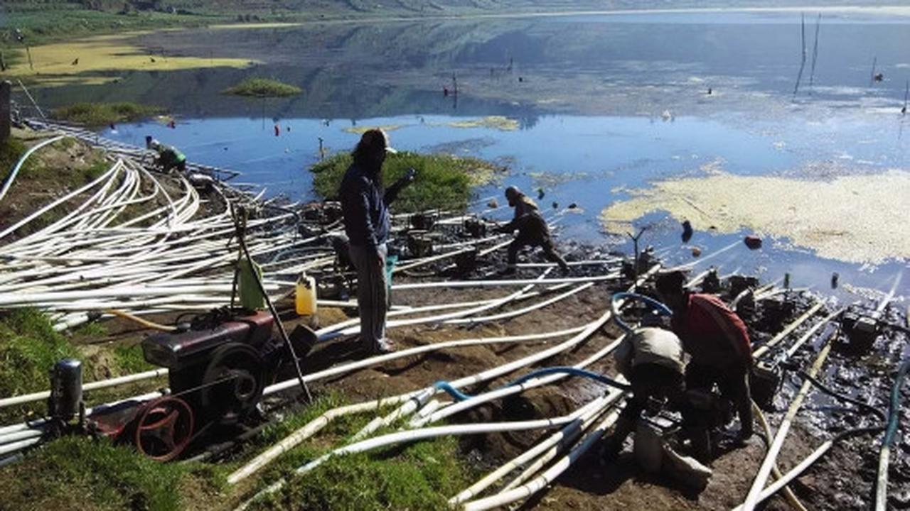Kekeringan, petani kentang Dieng sedot air Telaga Merdada