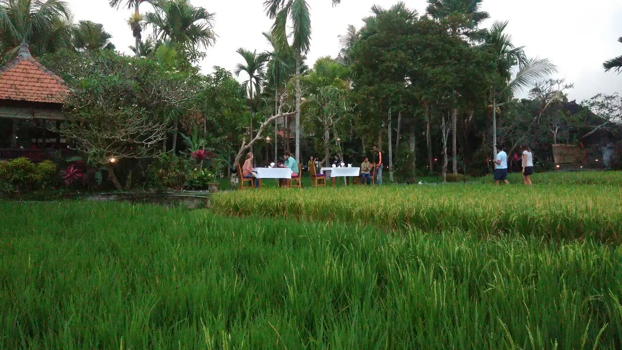 Sudut Romantis di Restoran Bebek Ubud, Siapa Tertarik?