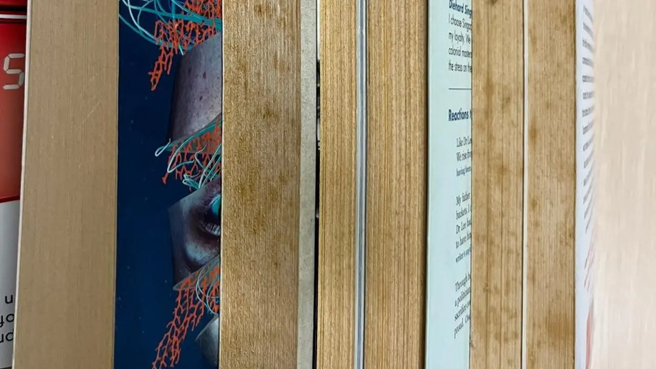 Ilustrasi buku.