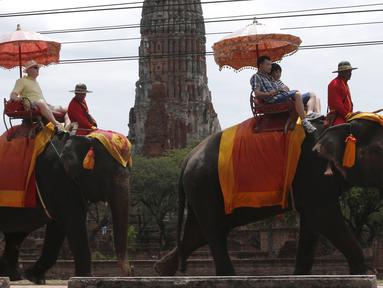 Sejumlah Turis naik gajah melintasi bangunan kuno Ayutthaya, Bangkok, Thailand, (11/8/2015). Thailand akan merayakan Hari Gajah Dunia pada tanggal 12 Agustus 2015. (REUTERS/Chaiwat Subprasom)