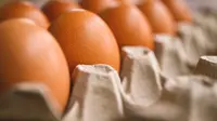 Telur Mentah atau Matang, Mana yang Memiliki Kadar Gizi Tinggi? Ini Penjelasan Ilmiahnya