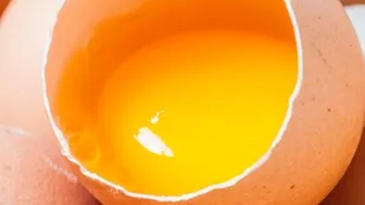 Perbedaan Telur Biasa vs Telur Omega 3<br>