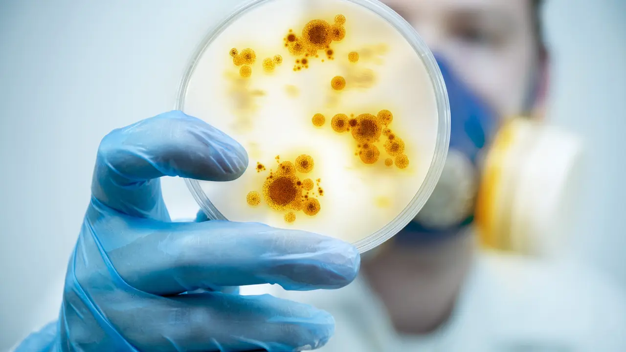 Gejala Virus Zika
