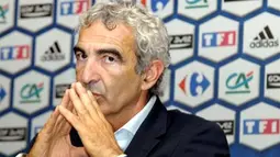 France coach Raymond Domenech looks on during a press conference at the French Football Federation (FFF) headquarters on August 12, 2008, in Paris. AFP PHOTO / ERIC PIERMONT