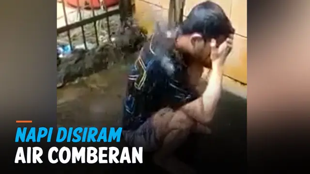 VIDEO: Heboh Napi Disiram Air Comberan, ini Kata Kalapas Pontianak
