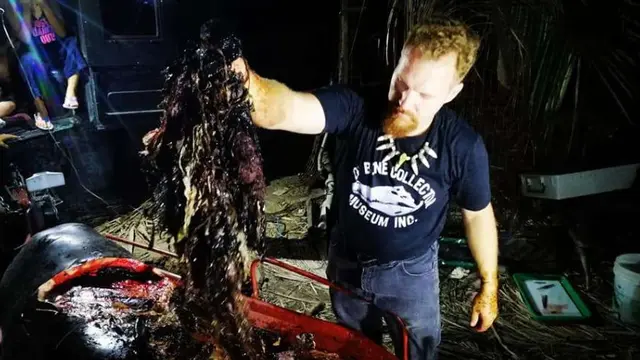 Pilu, Temuan 40 Kg Plastik dalam Perut Paus Mati di Filipina