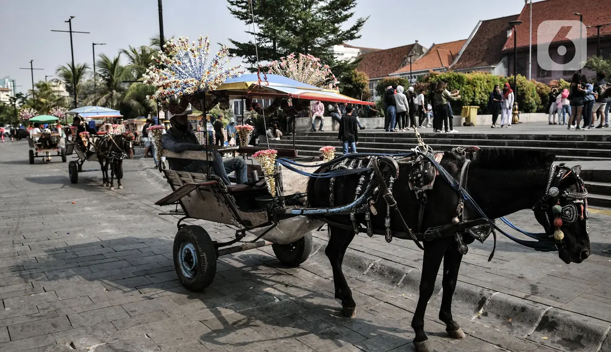 Deretan delman menunggu penumpang di kawasan wisata Kota Tua, Jakarta, Minggu (28/6/2020). Meski pembukaan kembali Taman Fatahillah ditunda pasca PSBB, kawasan Kota Tua mulai ramai dikunjungi wisatawan untuk menghabiskan waktu akhir pekan. (merdeka.com/Iqbal S. Nugroho)