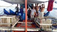Aparat gabungan menangkap dua kapal Filipina mencuri ikan di wilayah perairan Sulawesi Utara. (Liputan6.com/Yoseph Ikanubun)