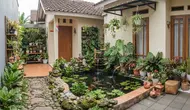 8 Ide Kombinasi Tanaman Hias dan Kolam Ikan untuk Pekarangan Rumah yang Sempit