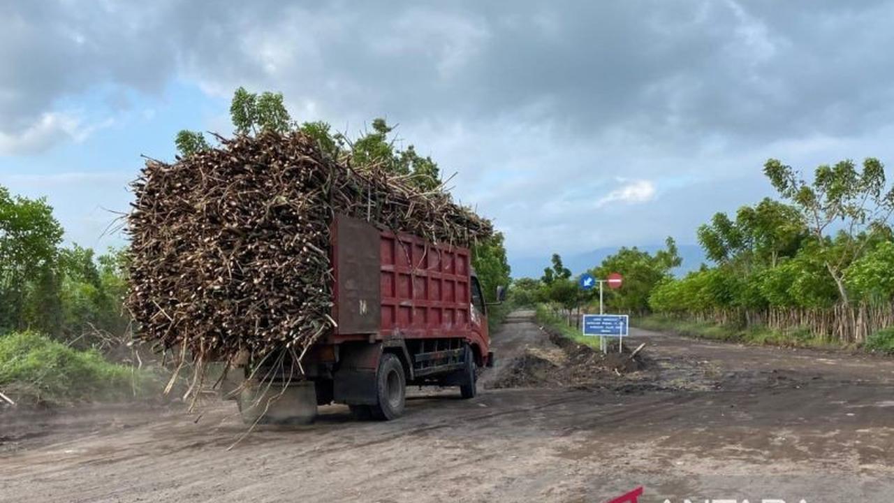 Kadin NTB & DPRD Dompu Desak Roadmap Pengembangan Tebu: Mengapa Status Kawasan Nasional 2024 Belum Optimal?