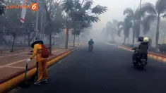 Berikut beberapa hal yang bisa Anda lakukan untuk melindungi diri dari asap kebakaran hutan