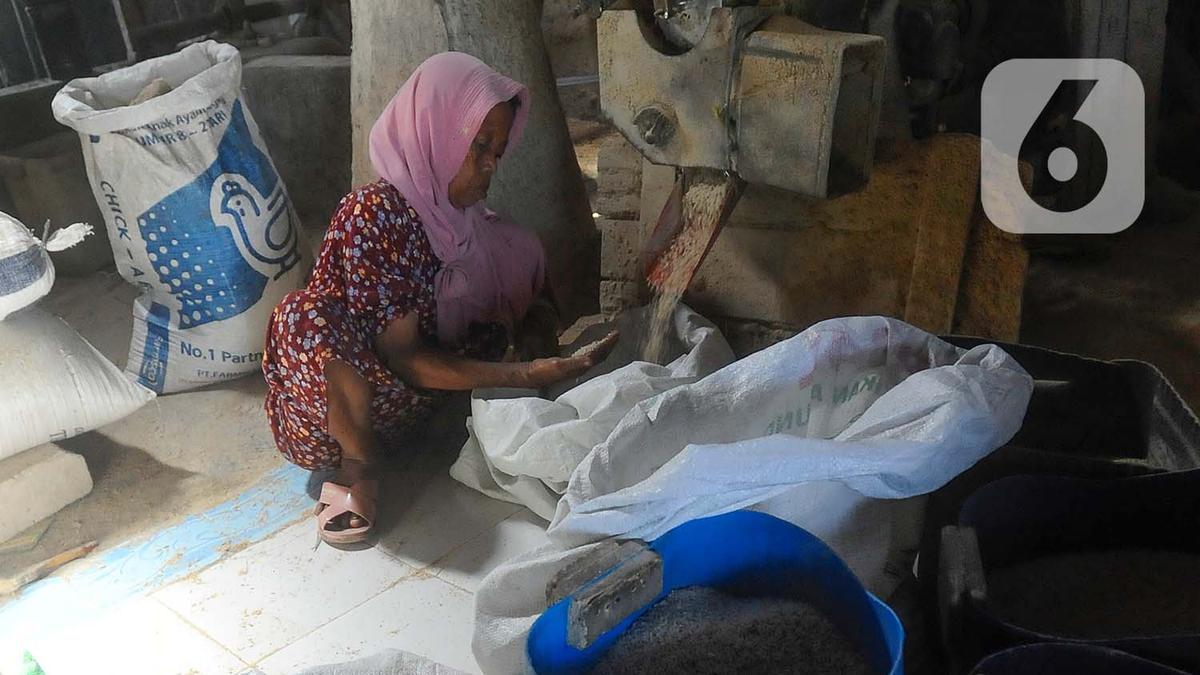 YLKI: Konsumen Minta Stok Beras Ditambah, Harga Harus Terjangkau