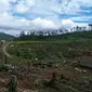 Kawasan TN Kerinci Seblat sudah sejak lama kerap dirambah untuk dijadikan kawasan perkebunan. (Dok. Istimewa/B Santoso)