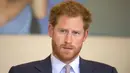 "Sebagai keturunan Inggris, aku kira kami nggak terlalu antusias (tentang pernikahan Prince Harry) seperti keadaan di Amerika saat ini," ujar James. (today.com)