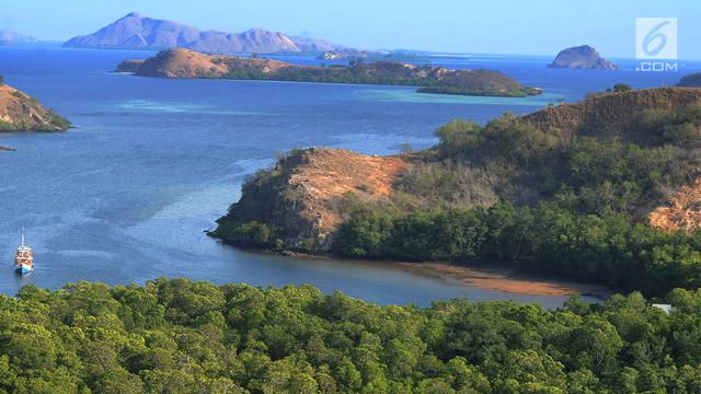 Menikmati Eksotisme Pemandangan Alam Pulau Rinca