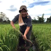 Mantan Jendral Polisi Bintang Tiga, Susno Duadji banyak mengunggah foto yang menggambarkan aktivitasnya sehari-hari, seperti saat menggarap lahan pertanian yang diakui sebagai lahan warisan peninggalan orang tuanya. (www.facebook.com/susno2g)