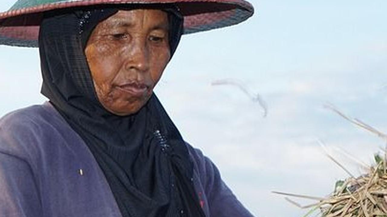 Mengenal Food Estate, Program Kebanggaan Jokowi yang Dicap Gagal oleh Mahfud MD - Cak Imin