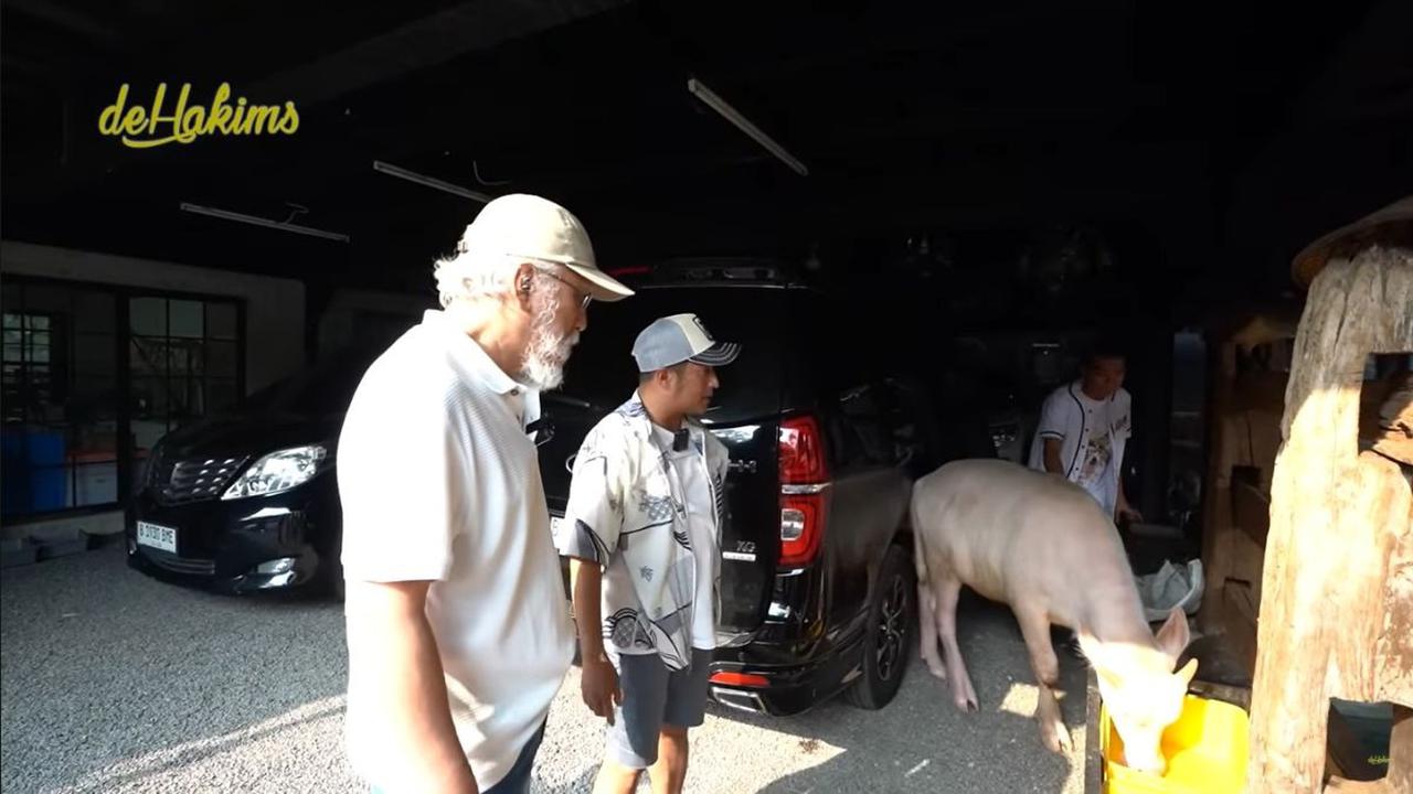 Iwan Fals Kagum Melihat Kebo Bule Irfan Hakim Bernama Beri dan Bela 'Kamu Niat Banget ya